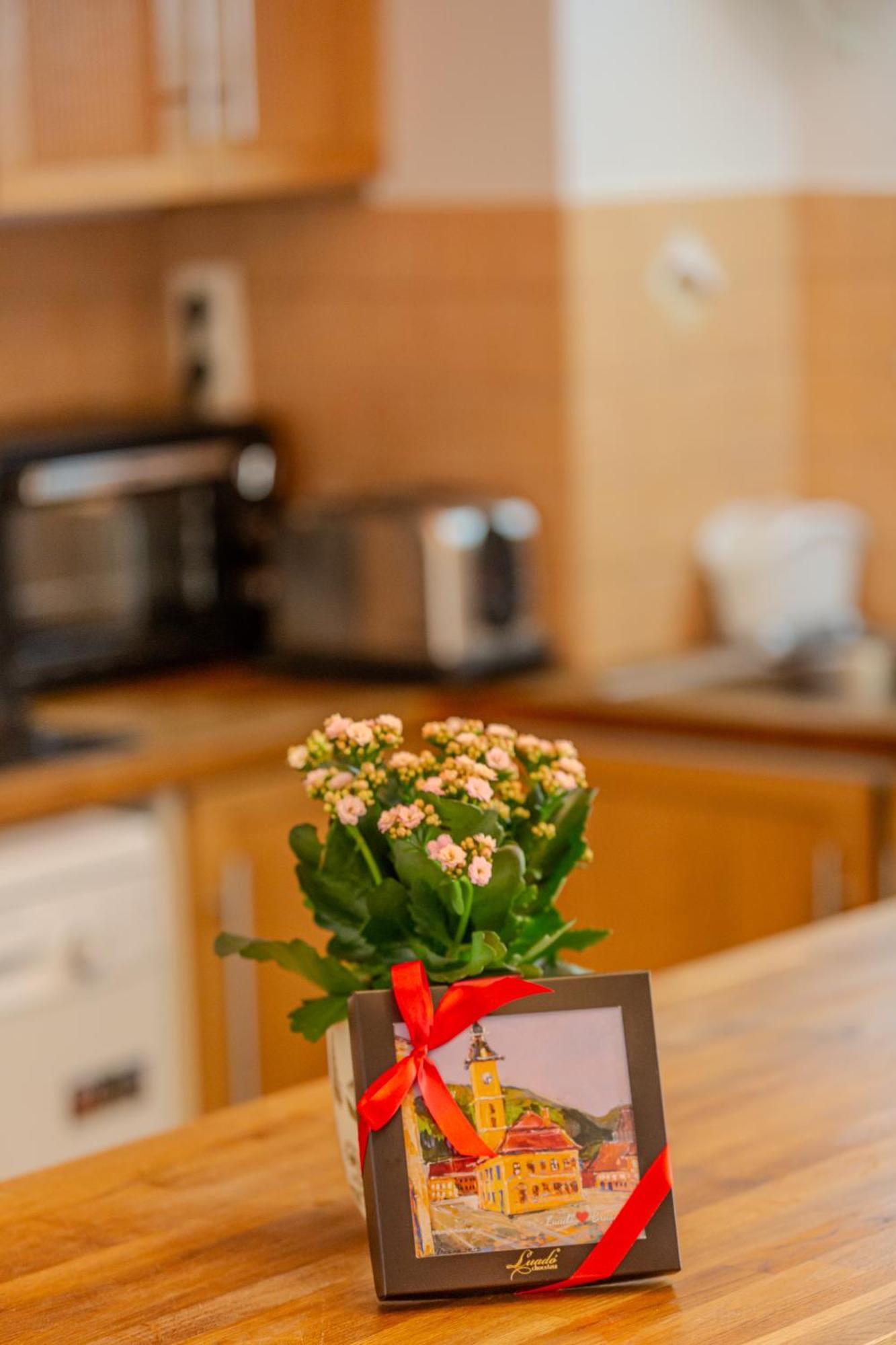 A Piece Of History Guesthouse Brasov Ngoại thất bức ảnh