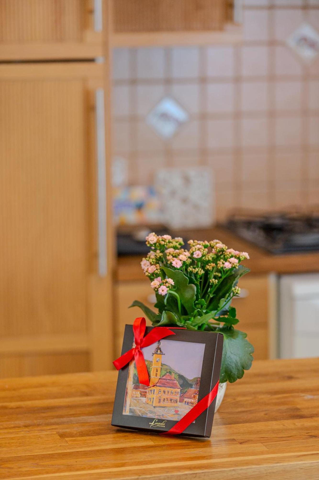 A Piece Of History Guesthouse Brasov Ngoại thất bức ảnh